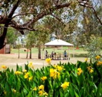 Charleville - Graham Andrews Parklands - New South Wales Tourism 