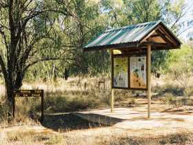 Charleville Self-Drive Itineraries - New South Wales Tourism  0