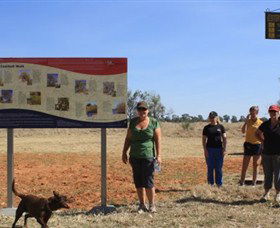 Coolibah Walk - New South Wales Tourism  0