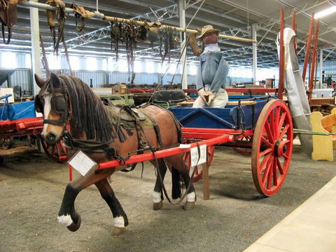 Gilgandra Rural Museum - New South Wales Tourism  4