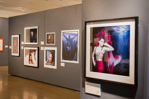 Pinnacles Gallery - New South Wales Tourism  1