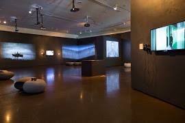 Pinnacles Gallery - New South Wales Tourism  4