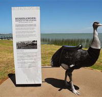Birdman of the Coorong - New South Wales Tourism 