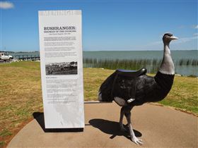 Birdman Of The Coorong - New South Wales Tourism  0