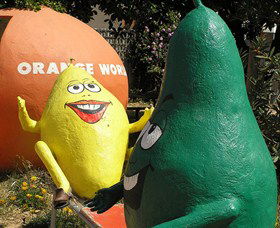 Orange World - New South Wales Tourism  0