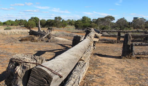 Zanci Pastoral Loop - New South Wales Tourism  0