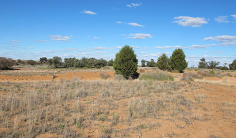Zanci Pastoral Loop - New South Wales Tourism  3
