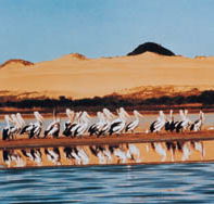 Coorong National Park - New South Wales Tourism 