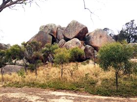 Mount Boothby Conservation Park - New South Wales Tourism  0