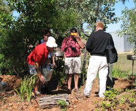 Mount Surprise Gems - New South Wales Tourism  2