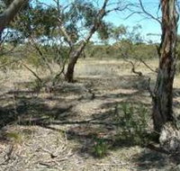 Tintinara Walking Trail - New South Wales Tourism 