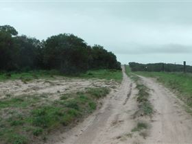 Messent Conservation Park - New South Wales Tourism  1