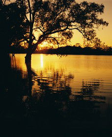 Hattah-Kulkyne National Park - New South Wales Tourism  0