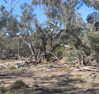 Mirri Mirru Yurun - New South Wales Tourism 