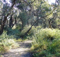 Nilla Yannagalang Billana - New South Wales Tourism 