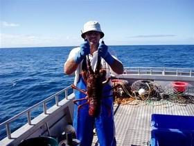 Lacepede Seafood - New South Wales Tourism  2