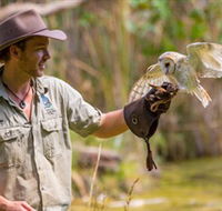 Territory Wildlife Park - New South Wales Tourism 