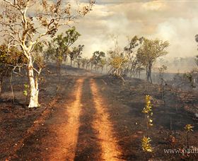 Paul Arnold Gallery - New South Wales Tourism  5