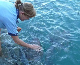 Aquascene - New South Wales Tourism  2