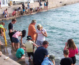 Aquascene - New South Wales Tourism  3