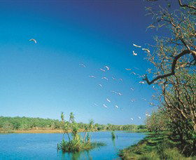 Nature's Way - New South Wales Tourism  5