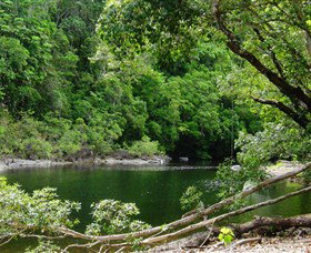 Broadwater, Abergowrie State Forest - New South Wales Tourism  0