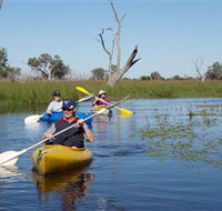 Marsh Meanders - New South Wales Tourism 
