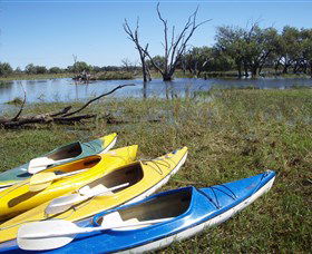Marsh Meanders - New South Wales Tourism  1