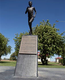 Railway Park Dirranbandi - New South Wales Tourism  1