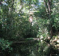 Misty Mountains Wilderness Walking Tracks - New South Wales Tourism 