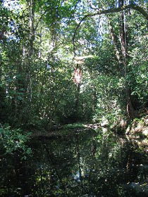 Misty Mountains Wilderness Walking Tracks - New South Wales Tourism  0