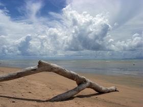 Toolakea QLD New South Wales Tourism 