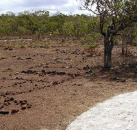 Wurrwurrwuy Garanhan Macassan Beach Interpretive Walk - New South Wales Tourism 