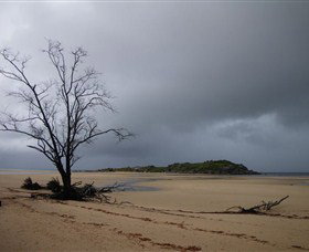 Dhamitjinya (East Woody Island) And Galaru (East Woody Beach) - New South Wales Tourism  3