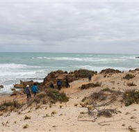 The Seaview Walking Trail - New South Wales Tourism 