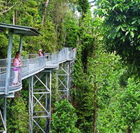Mamu Tropical Skywalk - New South Wales Tourism 