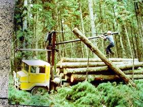 Nangwarry Forestry And Logging Museum - New South Wales Tourism  3
