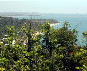 Clump Mountain National Park - New South Wales Tourism  1