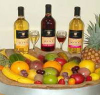 de Brueys Boutique Wines and Functions Venue - New South Wales Tourism 