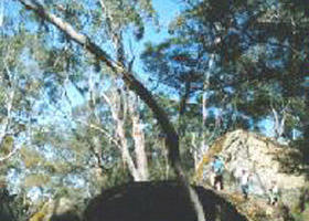 Carapook ACT New South Wales Tourism 