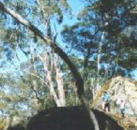 Dergholm State Park - New South Wales Tourism 