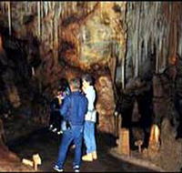 Tantanoola Caves Conservation Park - New South Wales Tourism 