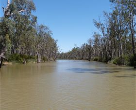 Wetlander Cruises - New South Wales Tourism  3