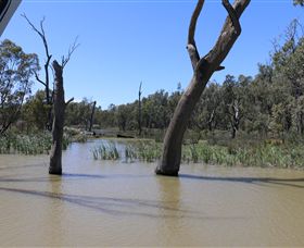 Wetlander Cruises - New South Wales Tourism  4