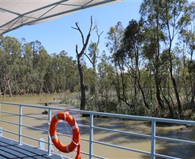 Wetlander Cruises - New South Wales Tourism  6