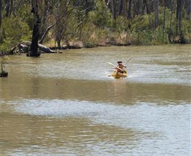 Wetlander Cruises - New South Wales Tourism  5