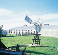 Glencoe Woolshed - New South Wales Tourism 
