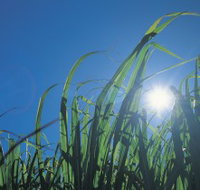 Australian Sugar Industry Museum - New South Wales Tourism 