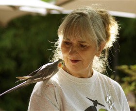 Catumnal ACT New South Wales Tourism 