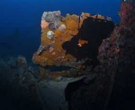 Lady Bowen Dive Site - New South Wales Tourism  0